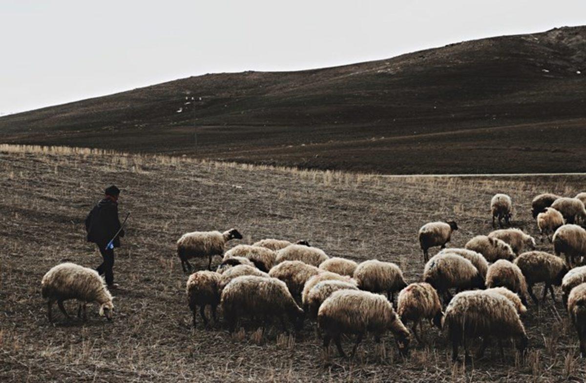 Çobanken Fizikçi Olup, Einstein’a Rakip Olan Türk Bilim İnsanı: Hüseyin Yılmaz