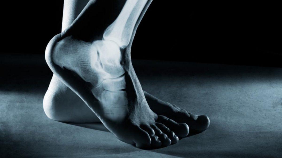 İnsan Vücudunda Bulunan 10 Körelmiş Organ ve Kas