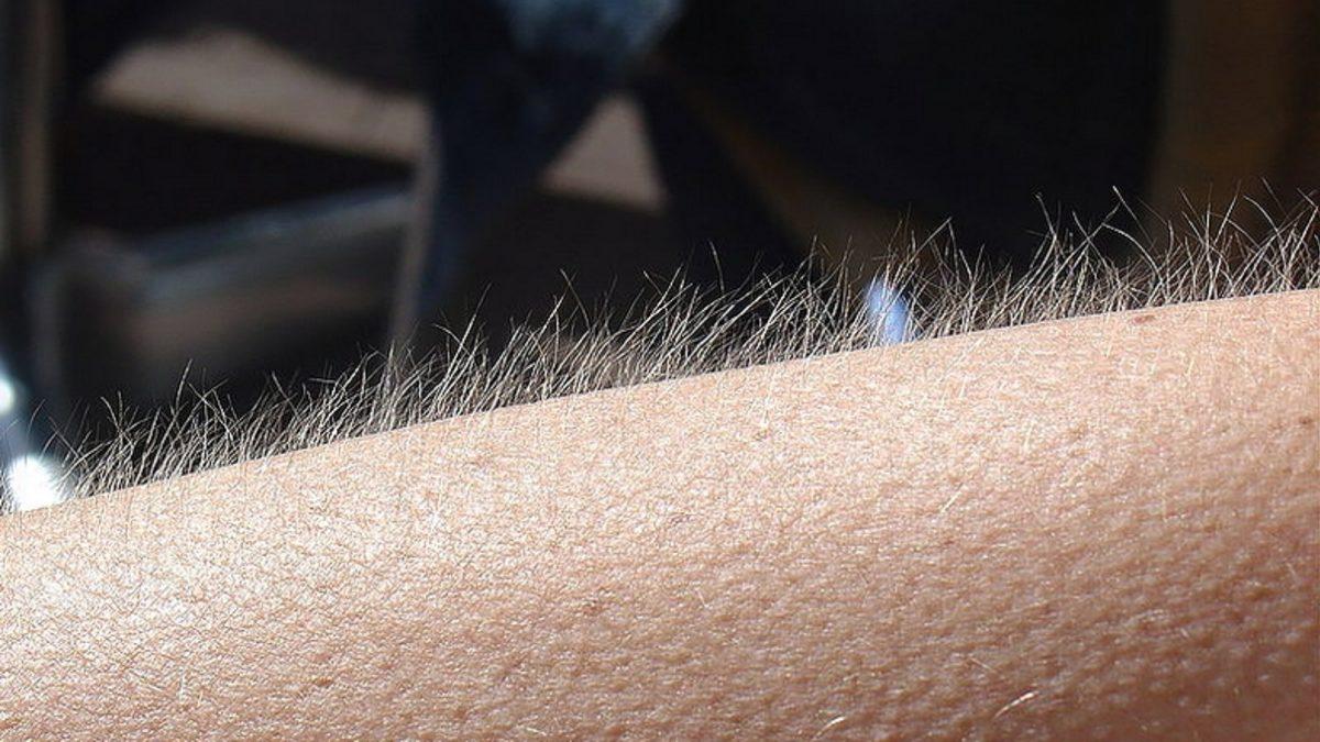 İnsan Vücudunda Bulunan 10 Körelmiş Organ ve Kas