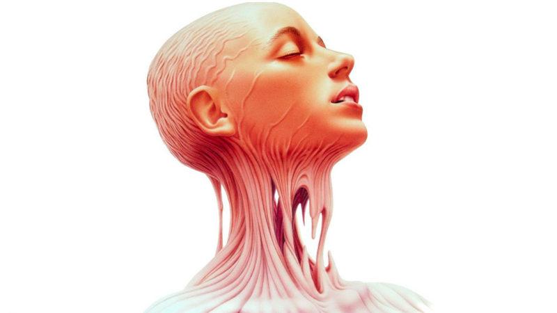 İnsan Vücudunda Bulunan 10 Körelmiş Organ ve Kas