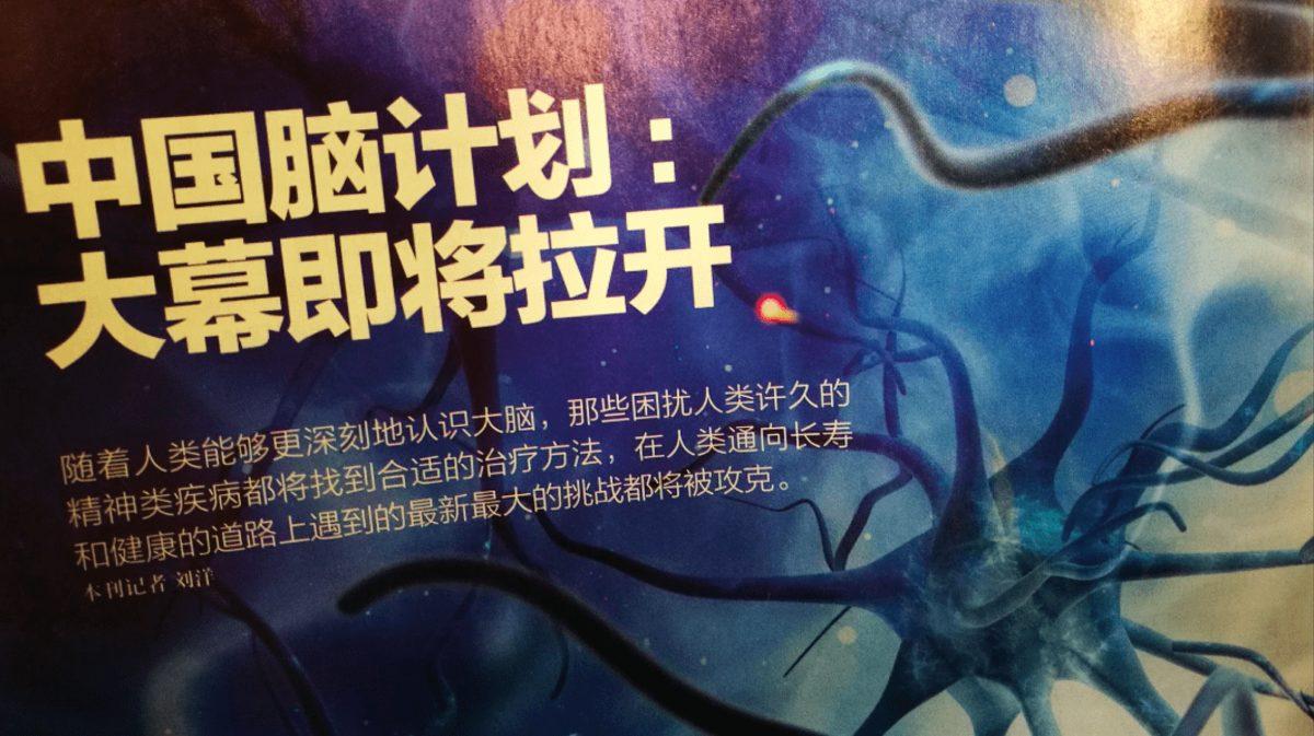 Yaşlanma Kaynaklı Beyin Fonksiyonu Kayıplarına Çare Olacak Araştırma