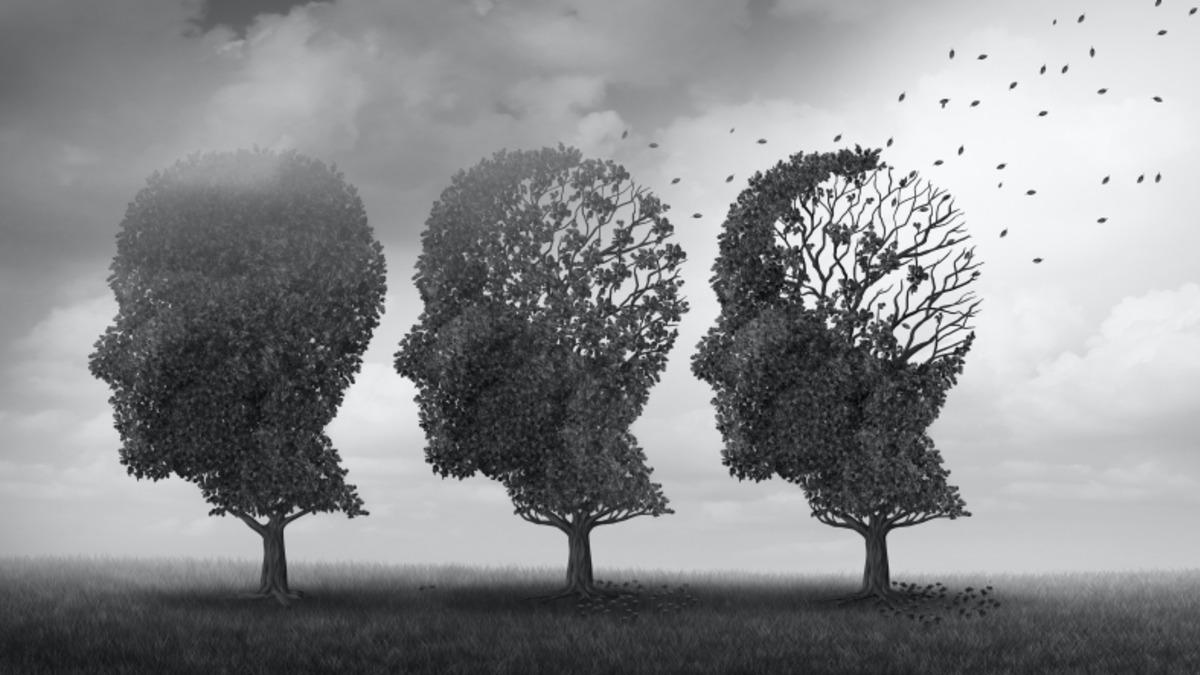 Bir Anının Akılda Kalıp Kalmayacağını Belirleyen Şey Ne?