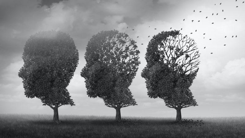 Bir Anının Akılda Kalıp Kalmayacağını Belirleyen Şey Ne?