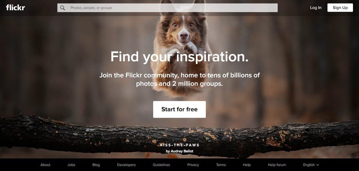 Google Dışında Görsel Arama Yapılan 13 Site ve Uygulama