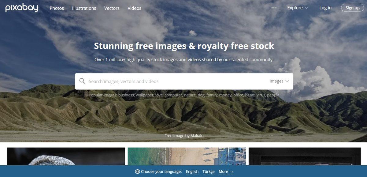 Google Dışında Görsel Arama Yapılan 13 Site ve Uygulama