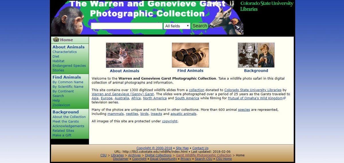 Google Dışında Görsel Arama Yapılan 13 Site ve Uygulama