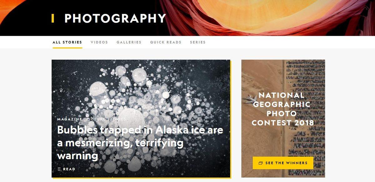 Google Dışında Görsel Arama Yapılan 13 Site ve Uygulama