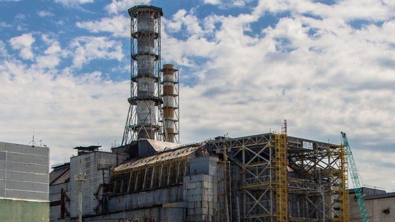 Çernobil Nükleer Reaktörünün İçinde Radyasyondan Beslenen Mantar Bulundu