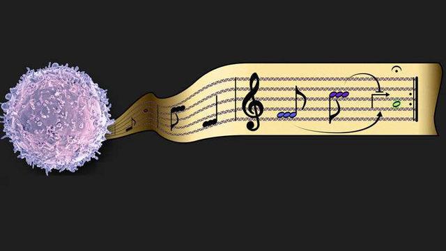 Memeli Hücrelerinde Genetik Programlamayı Sağlayacak Yeni Bir Araç Geliştirildi