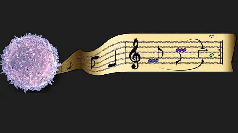 Memeli Hücrelerinde Genetik Programlamayı Sağlayacak Yeni Bir Araç Geliştirildi