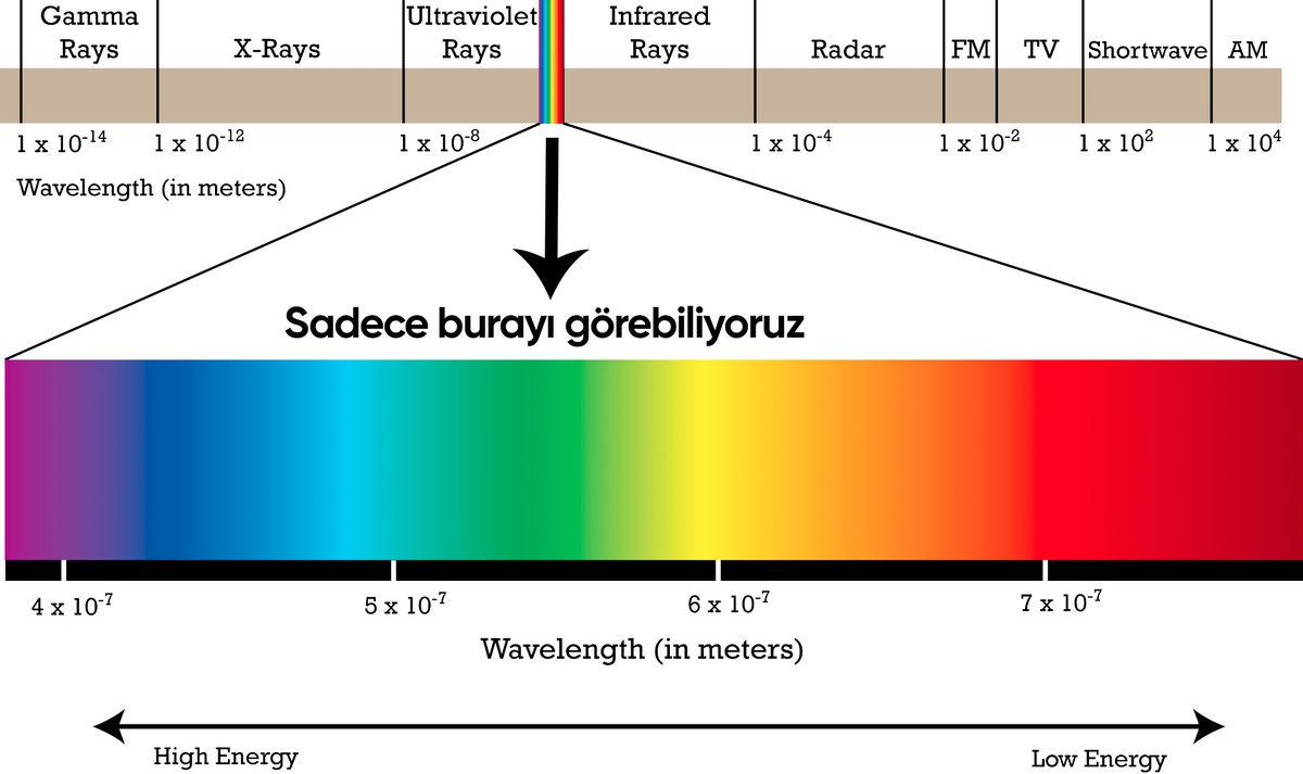 Kara Delik Nedir, Nasıl Oluşur?