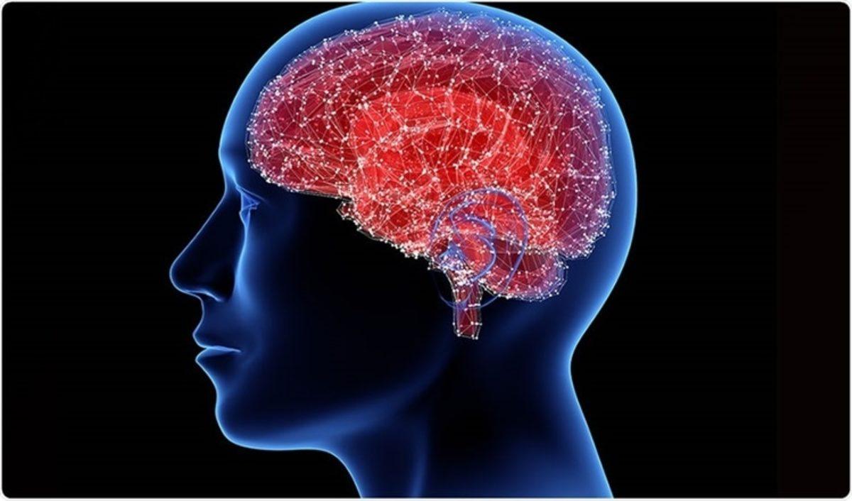 Parkinson Hastalarında Demansla Savaşı Kolaylaştırabilecek Bir Gen Bulundu