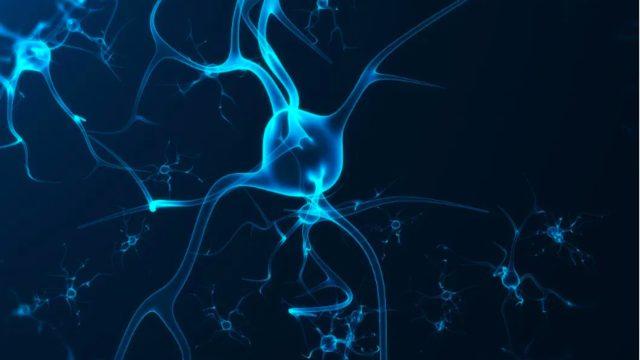 Parkinson Hastalarında Demansla Savaşı Kolaylaştırabilecek Bir Gen Bulundu