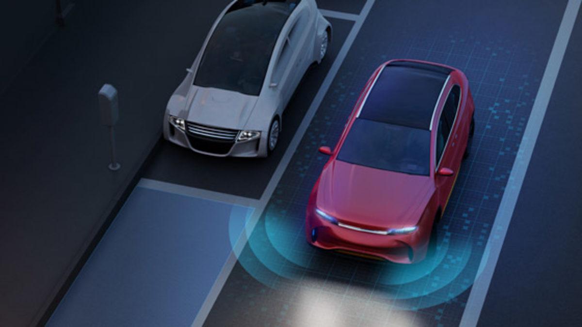 Otomobil Sürmek İçin Eğitilen 3 Köpek, Otonom Araç Sistemlerine İlham Verebilir