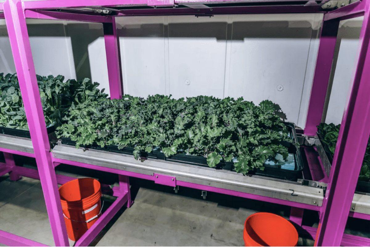 Robot Çiftçiler, Tarımın Geleceğine Yön Veriyor