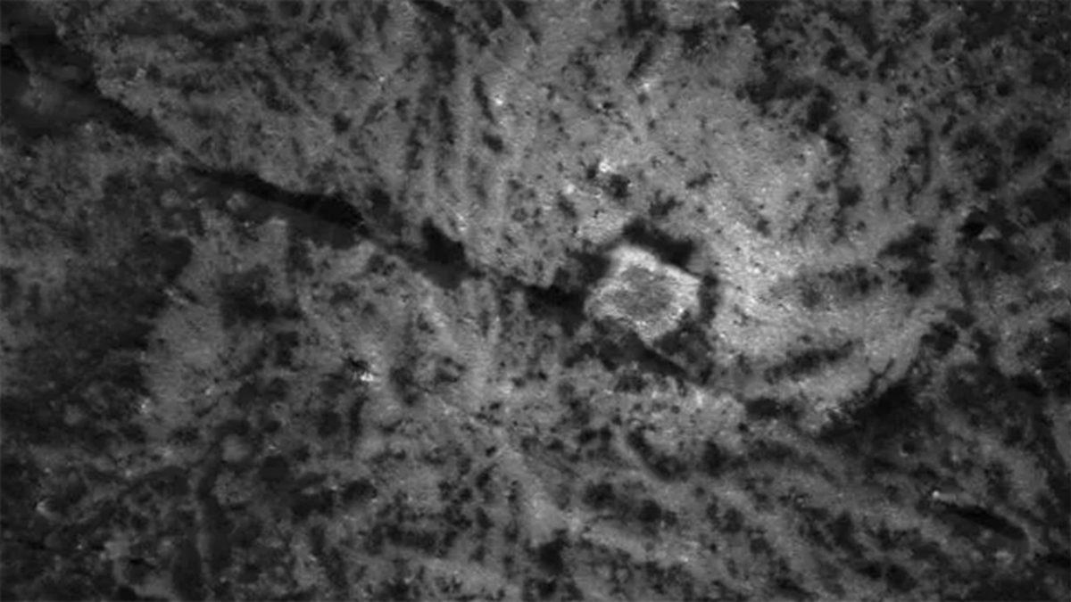 Bir Araştırmaya Göre Yapay Zeka, Dünya Dışı Yaşam Arayışında Yanıltıcı Olabilir