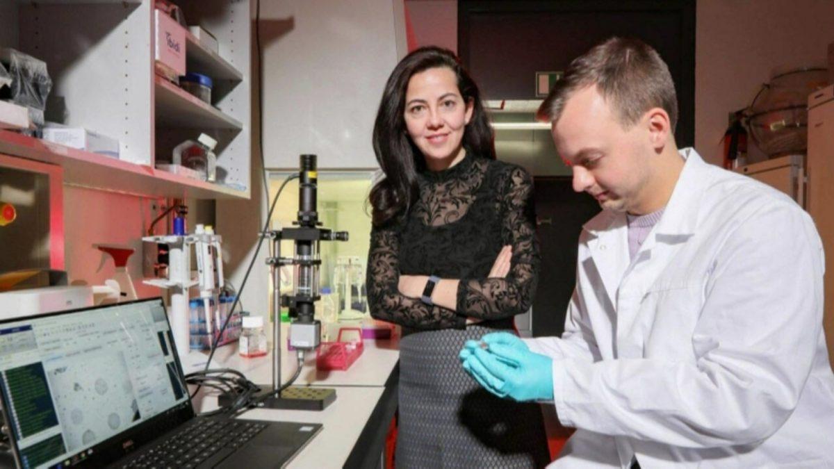 Türk Bilim İnsanı, Sepsis Hastalığını Birkaç Dakika İçinde Teşhis Edebilen Bir Cihaz Geliştirdi