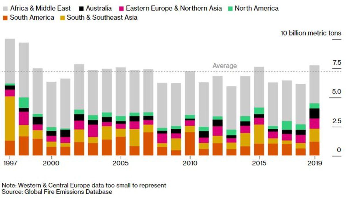 2019’daki Orman Yangınlarının Karbon Salınıma Olan Korkunç Etkisi