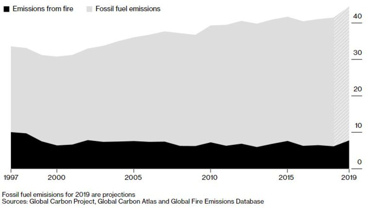 2019’daki Orman Yangınlarının Karbon Salınıma Olan Korkunç Etkisi