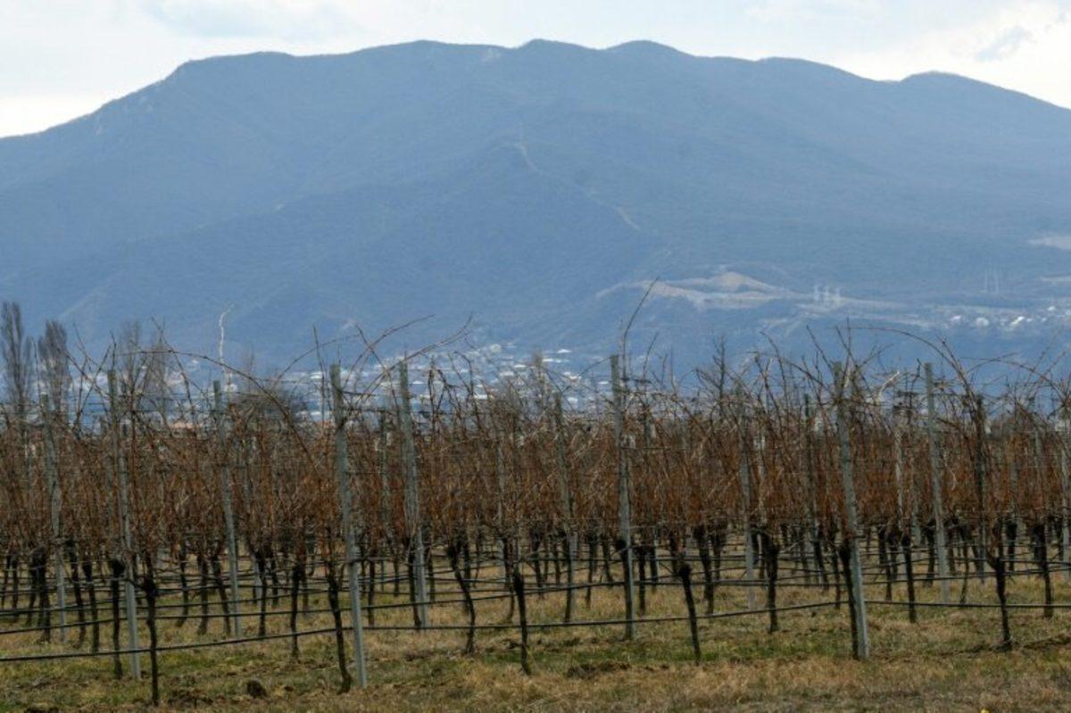 Bu Ne Hız: Gürcistan, Mars’ta Şarap Üretmek İstiyor
