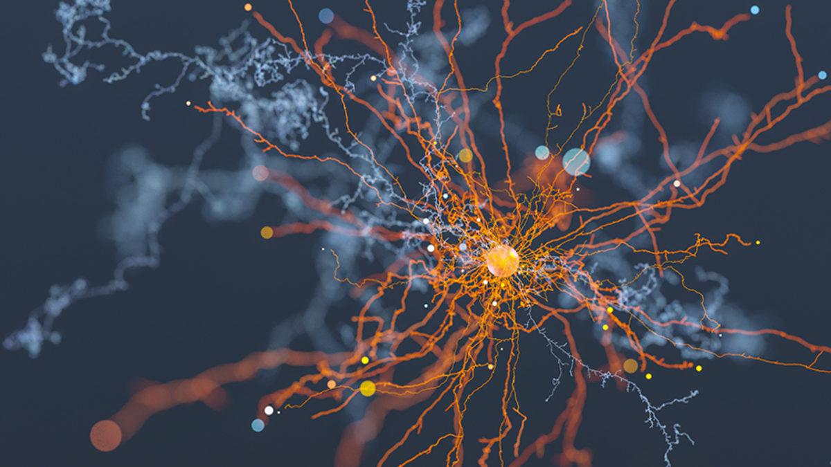 Uzun Boylu Genç Erkeklerde Demans Riskinin Düşük Olduğunu Gösteren Araştırma