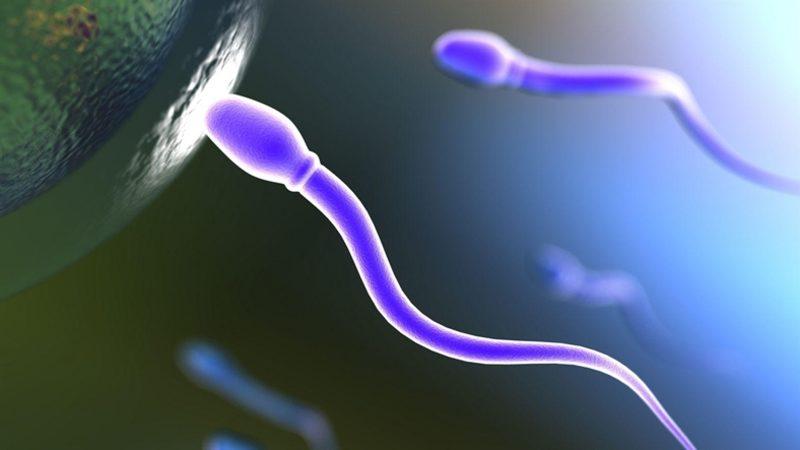 Araştırmalara Göre Sperm Sayısı 30 yılda 60 Milyondan 15 Milyona İndi