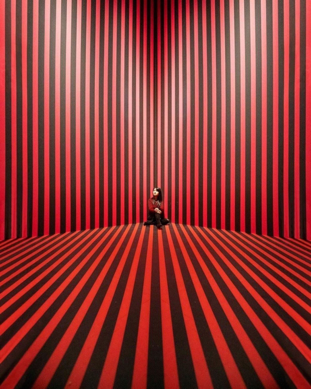 Simetri Hastalarının İçini Delicesine Rahatlatacak 15 Fotoğraf