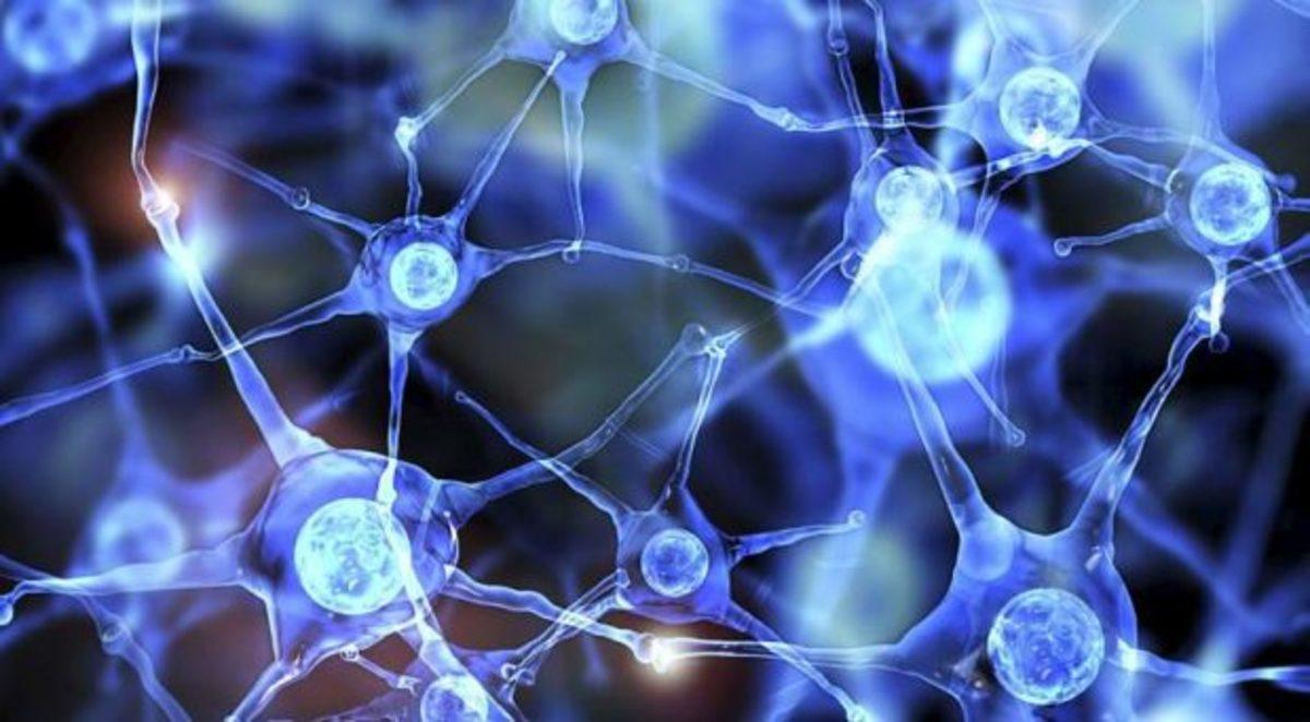 Sağlam Kafanın Sağlam Vücutta Bulunmasını Sağlayan 2 Egzersiz Türü