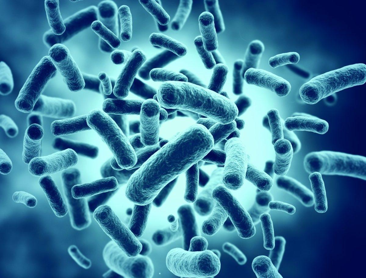 Bilim İnsanları, Bakterileri Öldüren Yeni Bir Antibiyotik Keşfetti