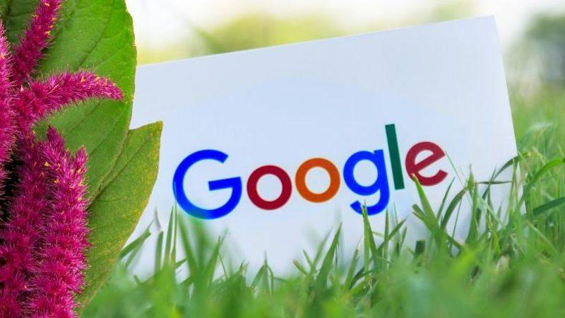 Google’ın Yeni İşletim Sistemi Pigweed Hakkında Bilinen Her Şey