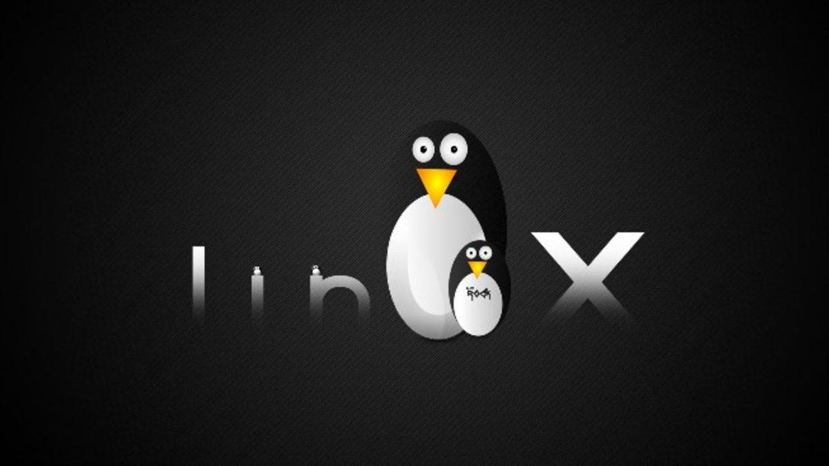 Linux İşletim Sistemi Pazarı, Dünya Çapında Büyüyor