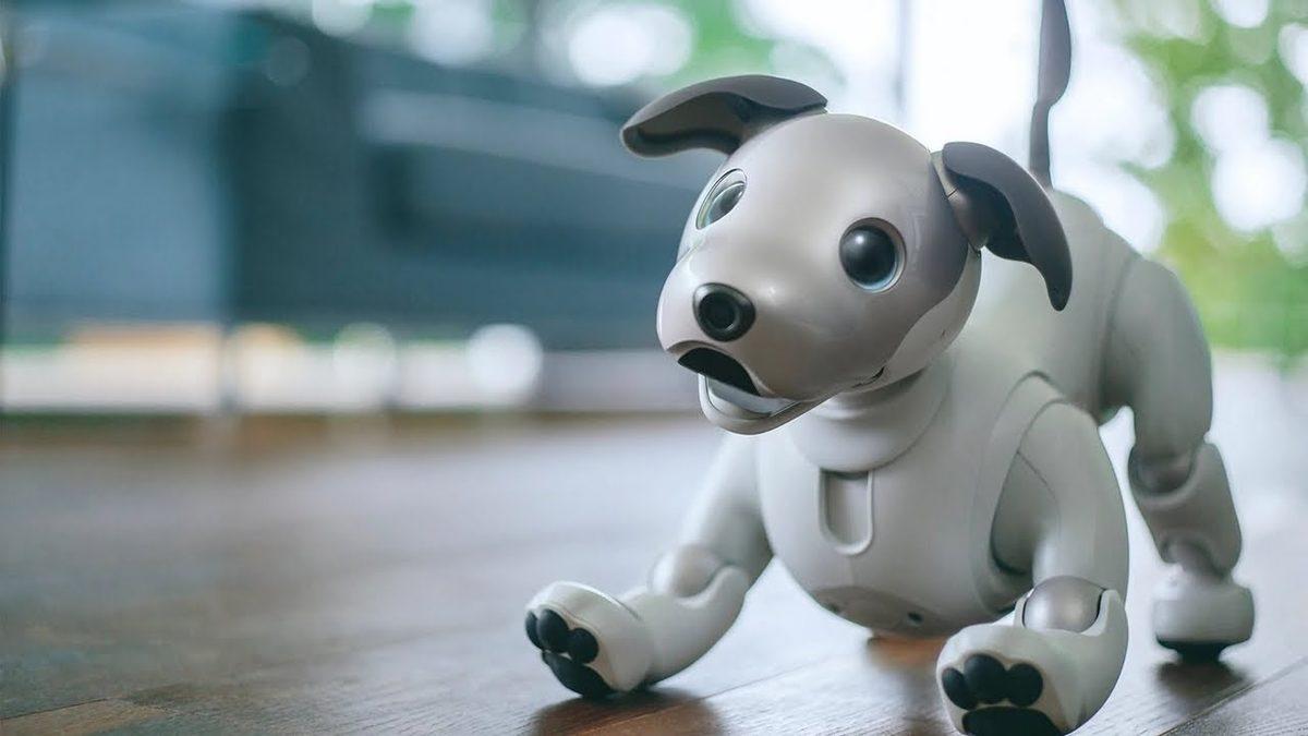 Sony, Evcil Hayvan Anlayışını Dahi Değiştirecek Köpek Robotlarını Hazırlıyor