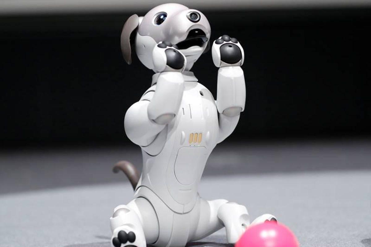Sony, Evcil Hayvan Anlayışını Dahi Değiştirecek Köpek Robotlarını Hazırlıyor