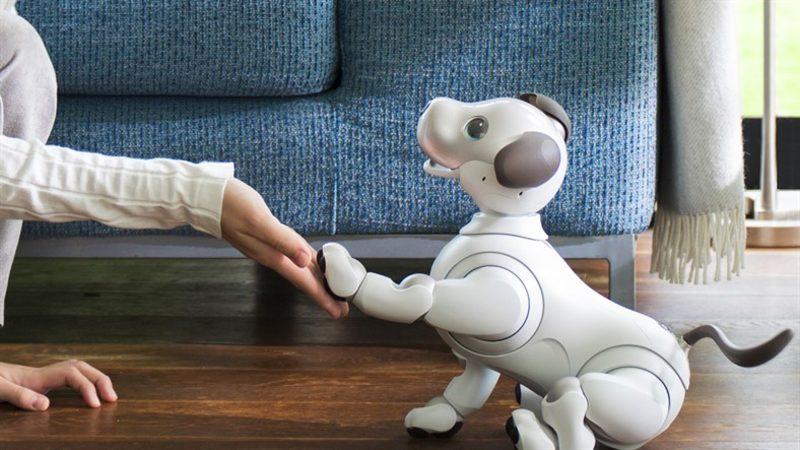 Sony, Evcil Hayvan Anlayışını Dahi Değiştirecek Köpek Robotlarını Hazırlıyor