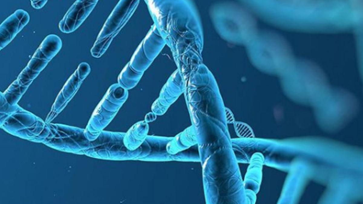 Uzmanlara Göre DNA’mız, Bazı Şirketler Tarafından Yararlarına Kullanılabilir