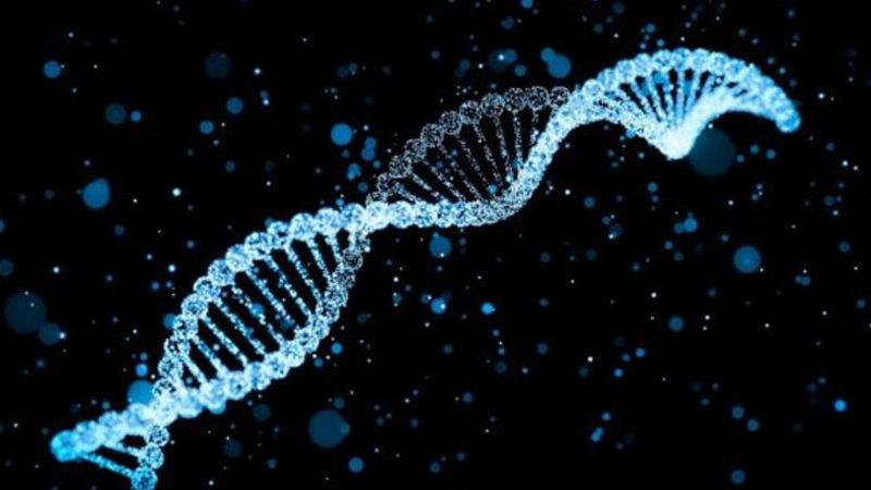 Uzmanlara Göre DNA’mız, Bazı Şirketler Tarafından Yararlarına Kullanılabilir