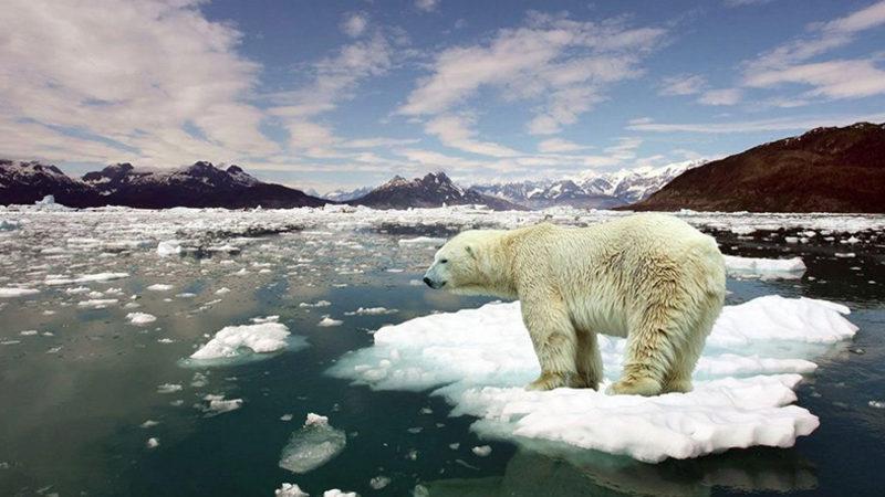 Geçtiğimiz Ocak Ayı, Son 144 Yılın En Sıcak Ocak Ayı Oldu