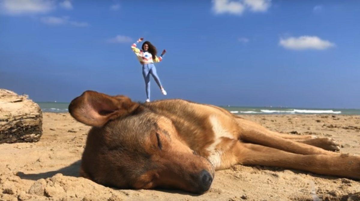 Apple Türkiye, 23 Nisan İçin 5 Videoluk Bir Seri Paylaştı