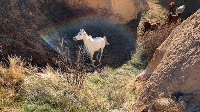Apple Türkiye, 23 Nisan İçin 5 Videoluk Bir Seri Paylaştı