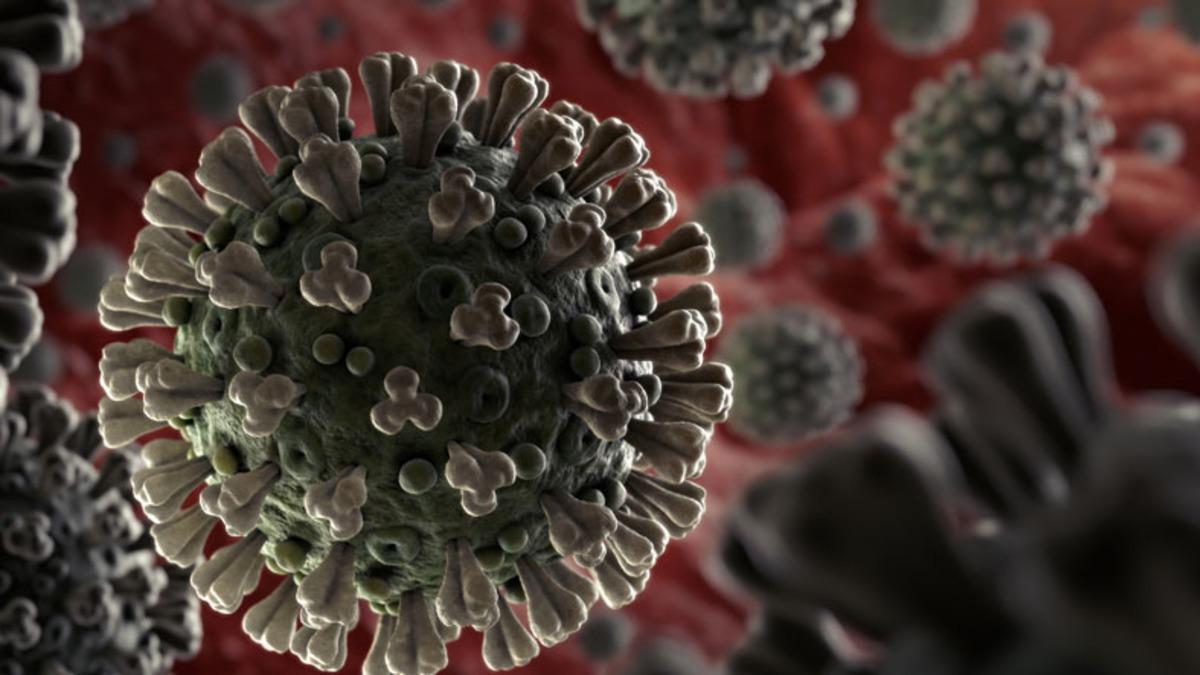 Dünya Sağlık Örgütü’ndeki Bir Uzmandan Corona Virüsü Hakkında Rahatlatan Açıklama