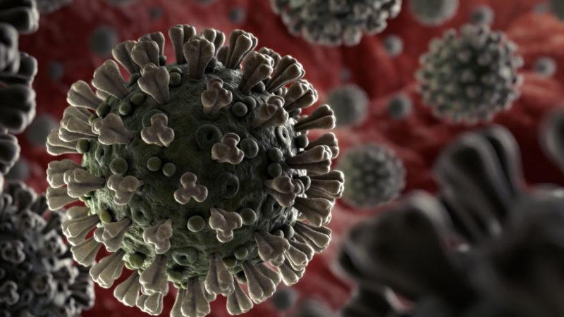 Dünya Sağlık Örgütü’ndeki Bir Uzmandan Corona Virüsü Hakkında Rahatlatan Açıklama