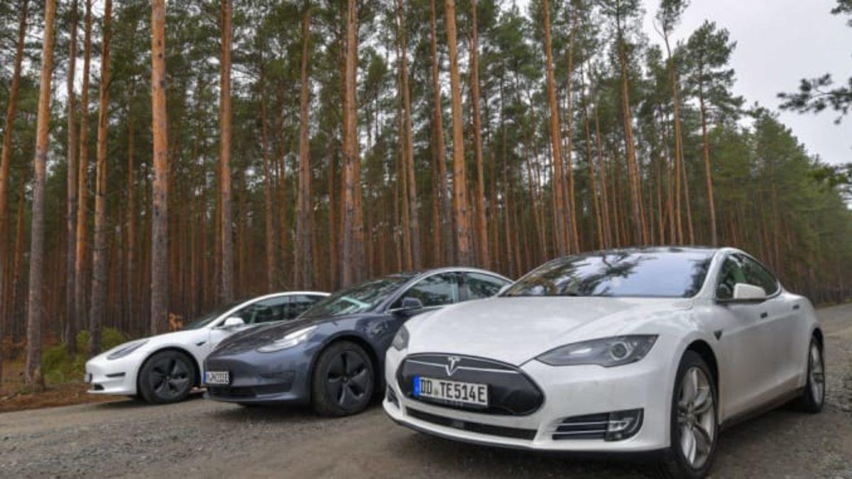 Tesla, Almanya’da Kurulacak Fabrika İçin 92 Hektarlık Ormanı Yok Ediyor