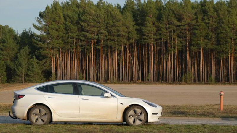 Tesla, Almanya’da Kurulacak Fabrika İçin 92 Hektarlık Ormanı Yok Ediyor