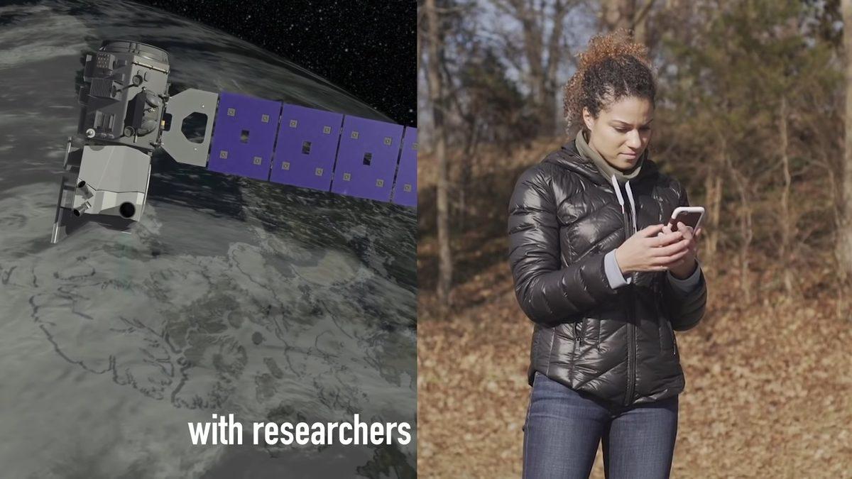 NASA, Her Gördüğünüz Ağacın Fotoğrafını Çekmenizi İstiyor: Peki Neden?