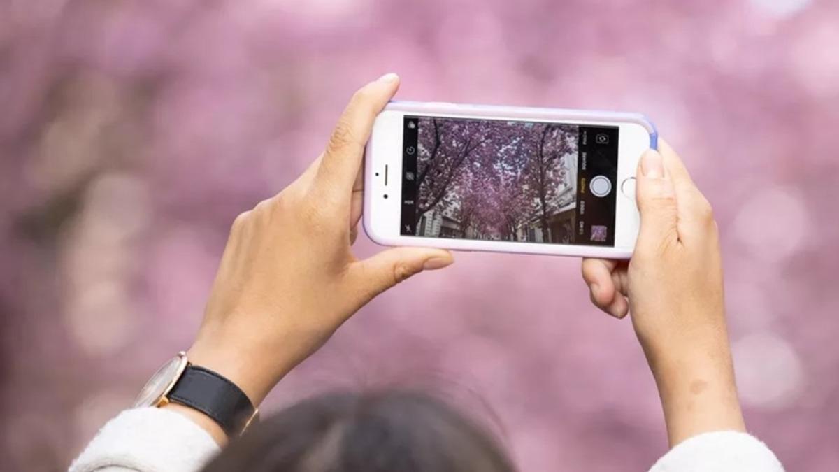 NASA, Her Gördüğünüz Ağacın Fotoğrafını Çekmenizi İstiyor: Peki Neden?