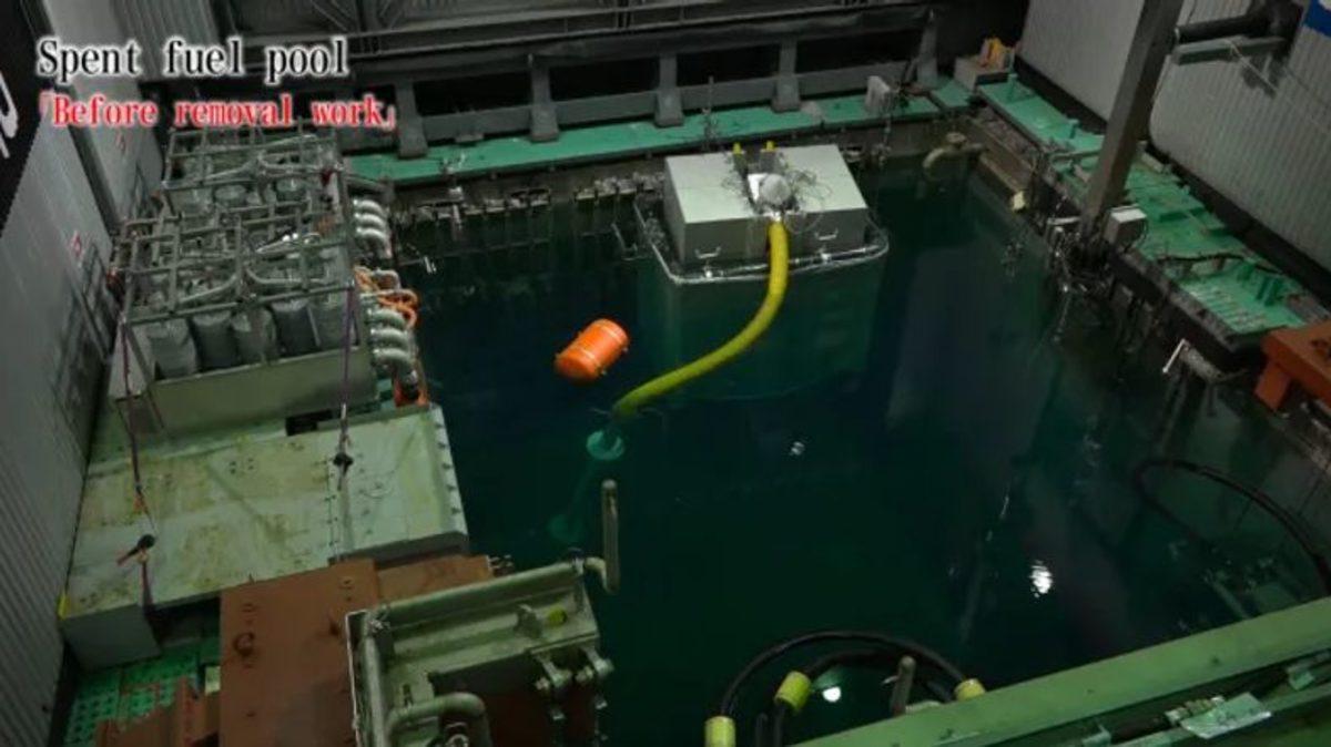 Fukushima’da Yaşanan Nükleer Felaketten 8 Yıl Sonra Gelen Sevindirici Haber