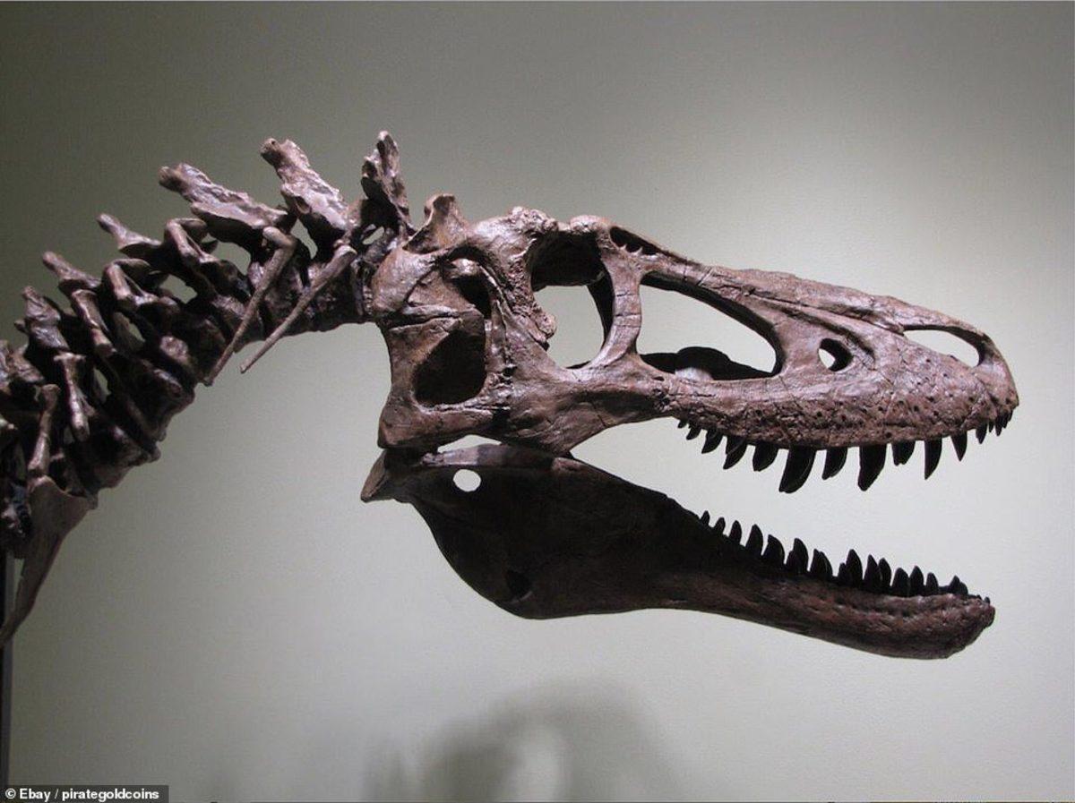 Bir Fosil Avcısı, T-Rex İskeletini eBay’de 3 Milyon Dolara Satışa Çıkardı