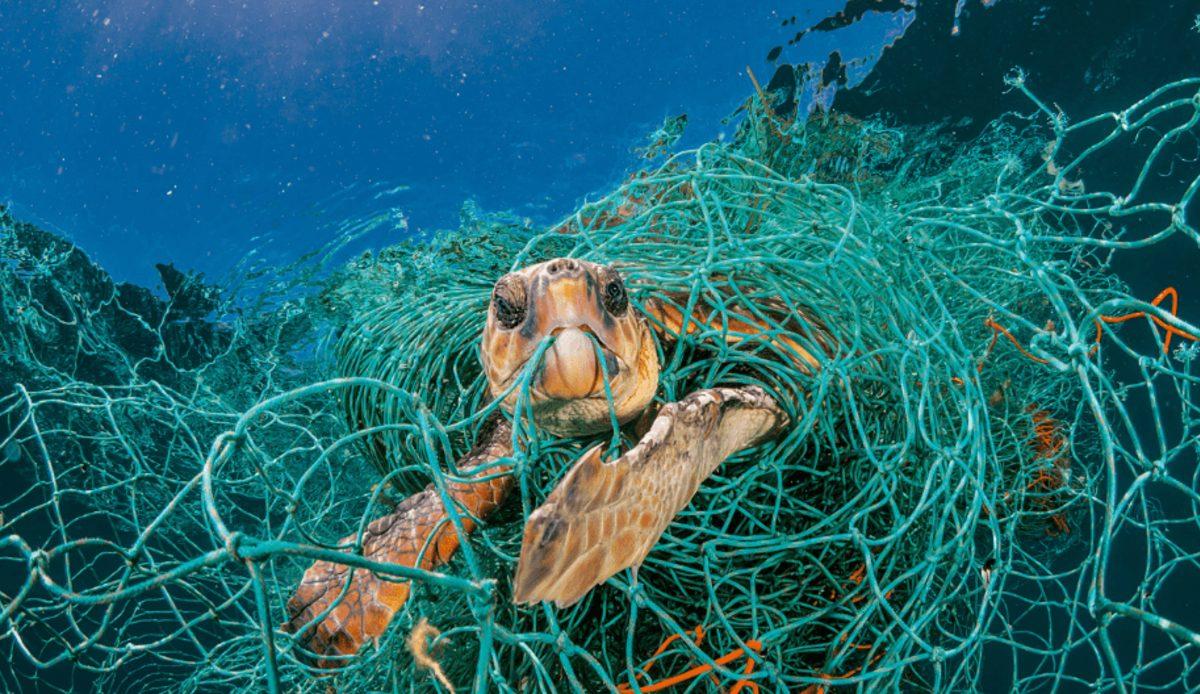 Denizlerdeki Plastik Artışı, 60 Senelik Verilerce Onaylandı