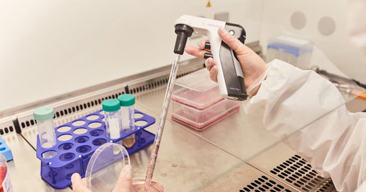 CRISPR ile İnsan Hücrelerine Çift Çekirdekli Bilgisayar Yerleştirildi