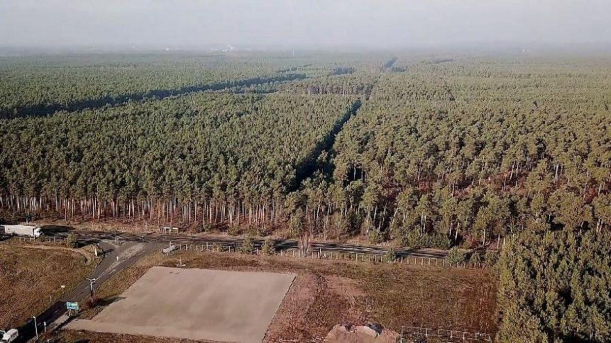 Tesla’nın Almanya’daki Fabrikasına Kesilen Ağaçlar Nedeniyle Mahkeme Engeli